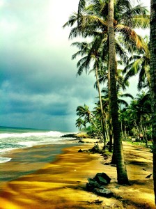 Kerala beach