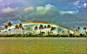 India Rainbow Back Waters