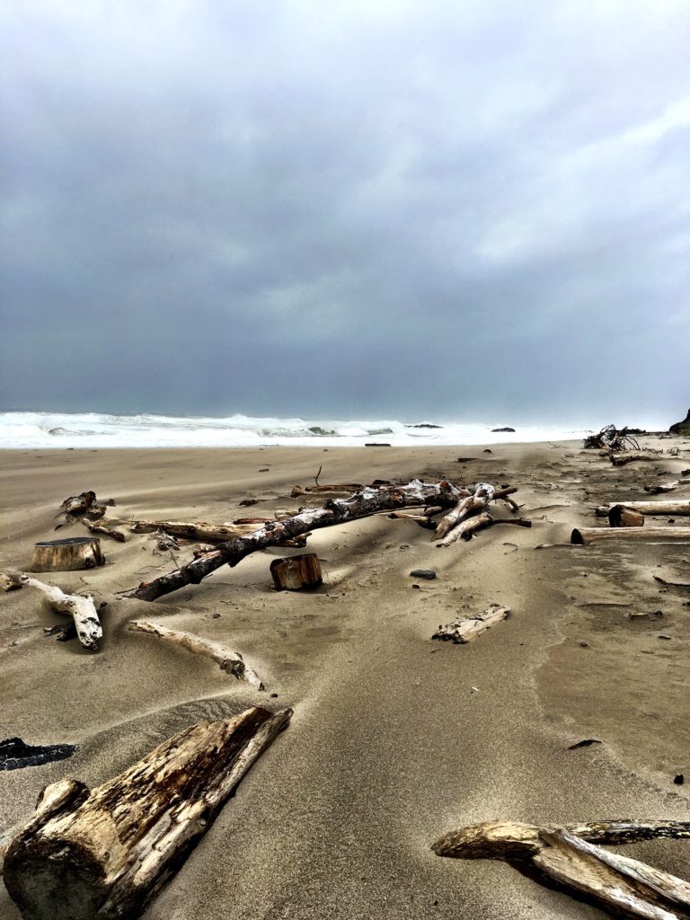 The stormy Oregon coast