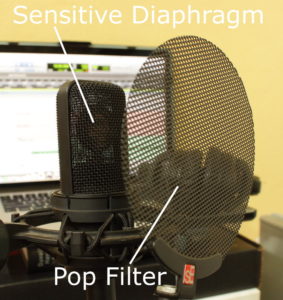 Microphone and Pop Filter