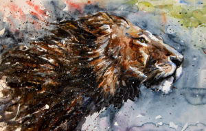 watercolour lion