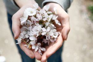 Hands flowers offering