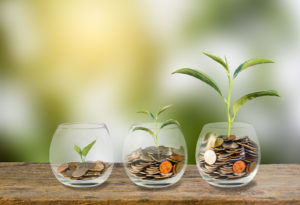 investment concept growth
