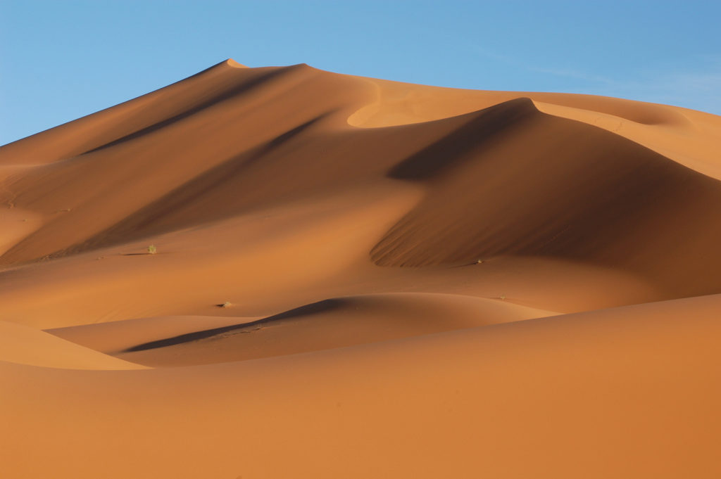 sand dune Sahara desert