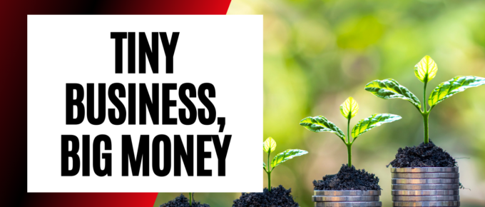 tiny business big money