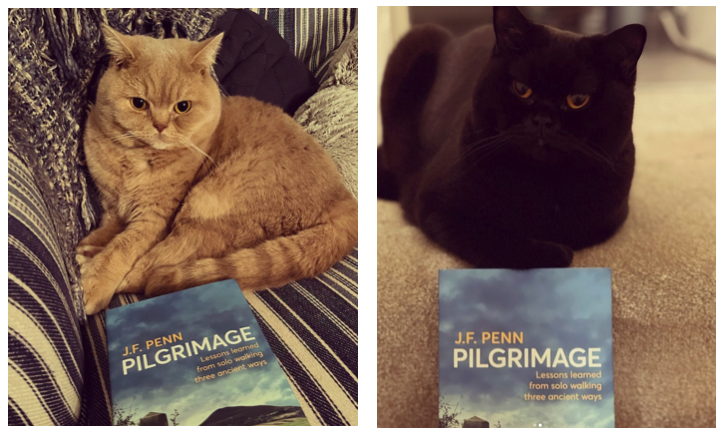 Cats Cashew and Noisette with Pilgrimage book